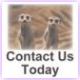 Contact us to help with your debt management